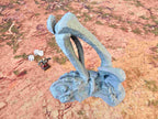 GIGANTIC BONES - BONES 06 image 4
