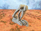 GIGANTIC BONES - BONES 06 image 2