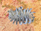 GIGANTIC BONES - BONES 02 image 6