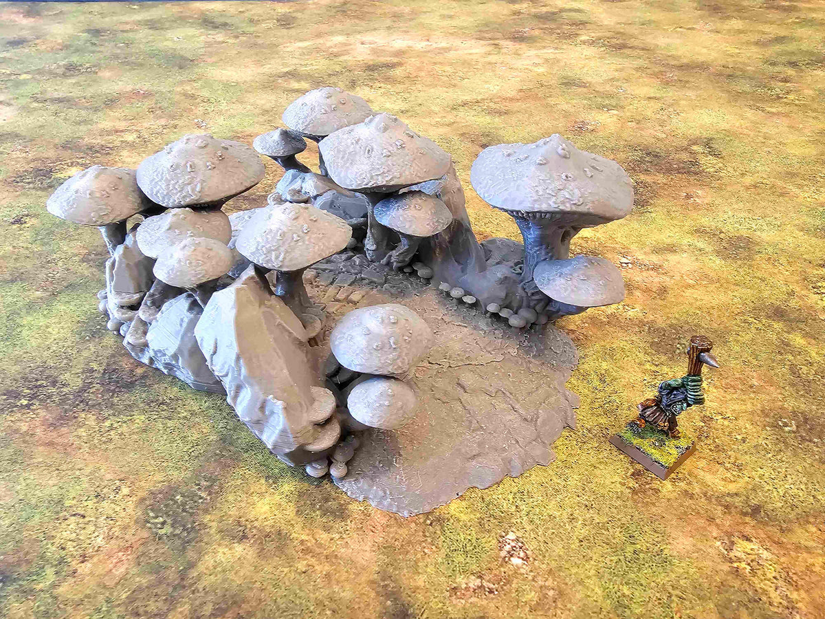 FUNGALWOOD - PATH 4 image 7