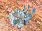 GIGANTIC BONES - BONES 05 image 6