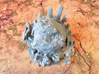 GIGANTIC BONES - BONES 07 image 7