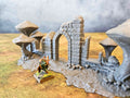 FUNGALWOOD - RUIN 4 image 0