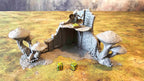FUNGALWOOD - RUIN 2 image 0