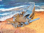 WRECKED SHIP image 7