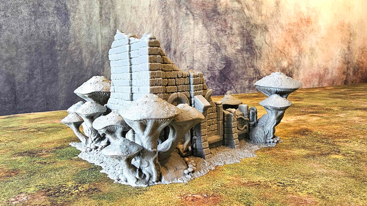 FUNGALWOOD - RUIN 2 image 2