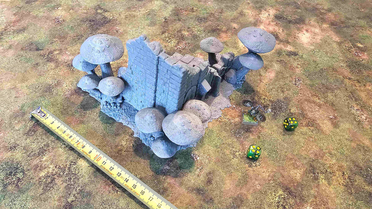 FUNGALWOOD - RUIN 2 image 6