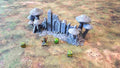 FUNGALWOOD - RUIN 3 image 0