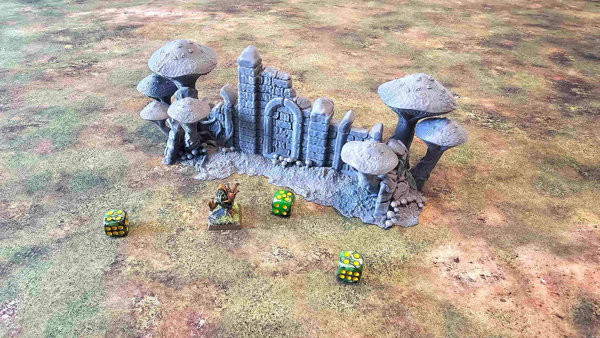FUNGALWOOD - RUIN 3 image 0