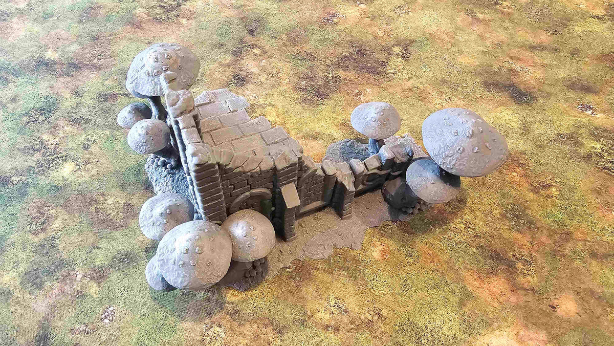 FUNGALWOOD - RUIN 2 image 4