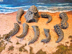 KRAKEN & TENTACLES x8 image 3