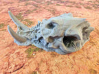 GIGANTIC BONES - BONES 01 image 2
