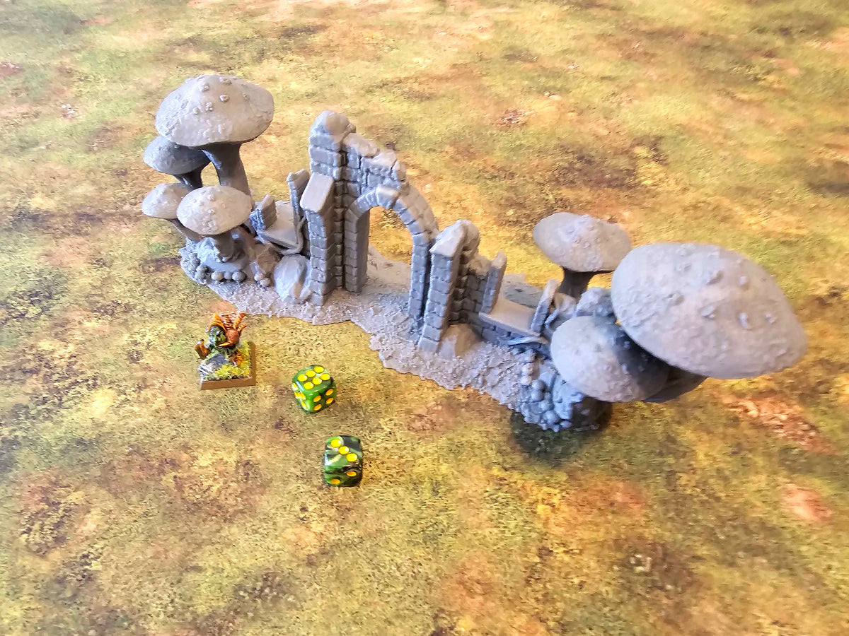 FUNGALWOOD - RUIN 4 image 2
