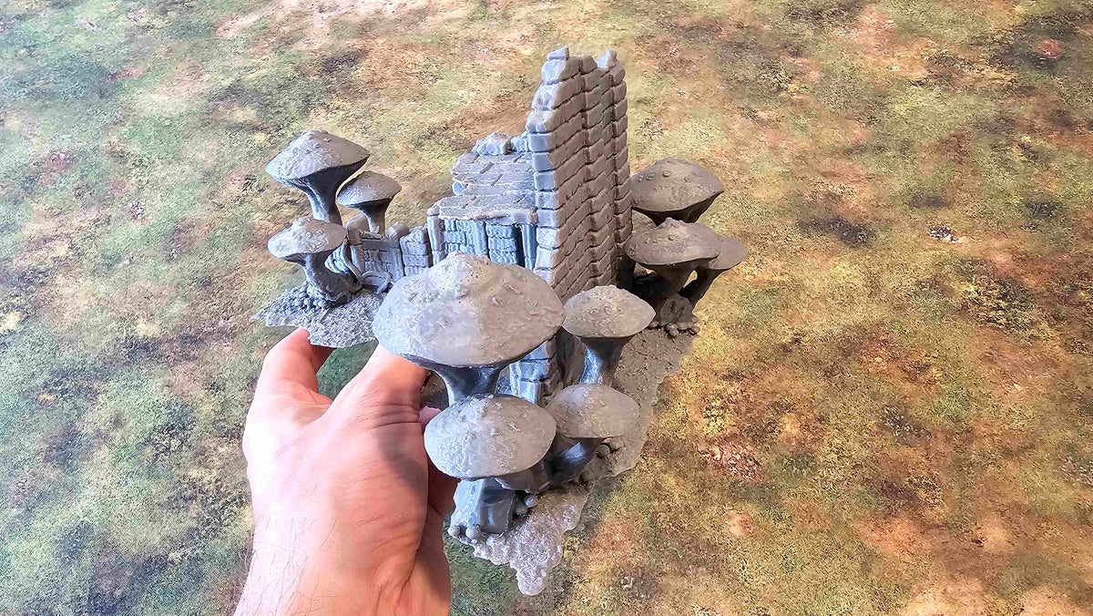 FUNGALWOOD - RUIN 2 image 3