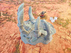 GIGANTIC BONES - BONES 05 image 9
