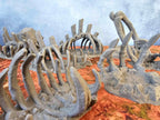 GIGANTIC BONES - FULL SET x7 ELEMENTS image 6