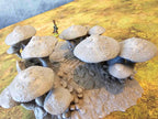 FUNGALWOOD - PATH 4 image 1
