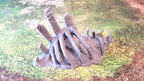 GIGANTIC BONES - BONES 03 image 8
