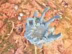 GIGANTIC BONES - BONES 05 image 11