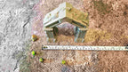 DWARVEN - ARCH image 12