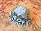 GIGANTIC BONES - BONES 07 image 8
