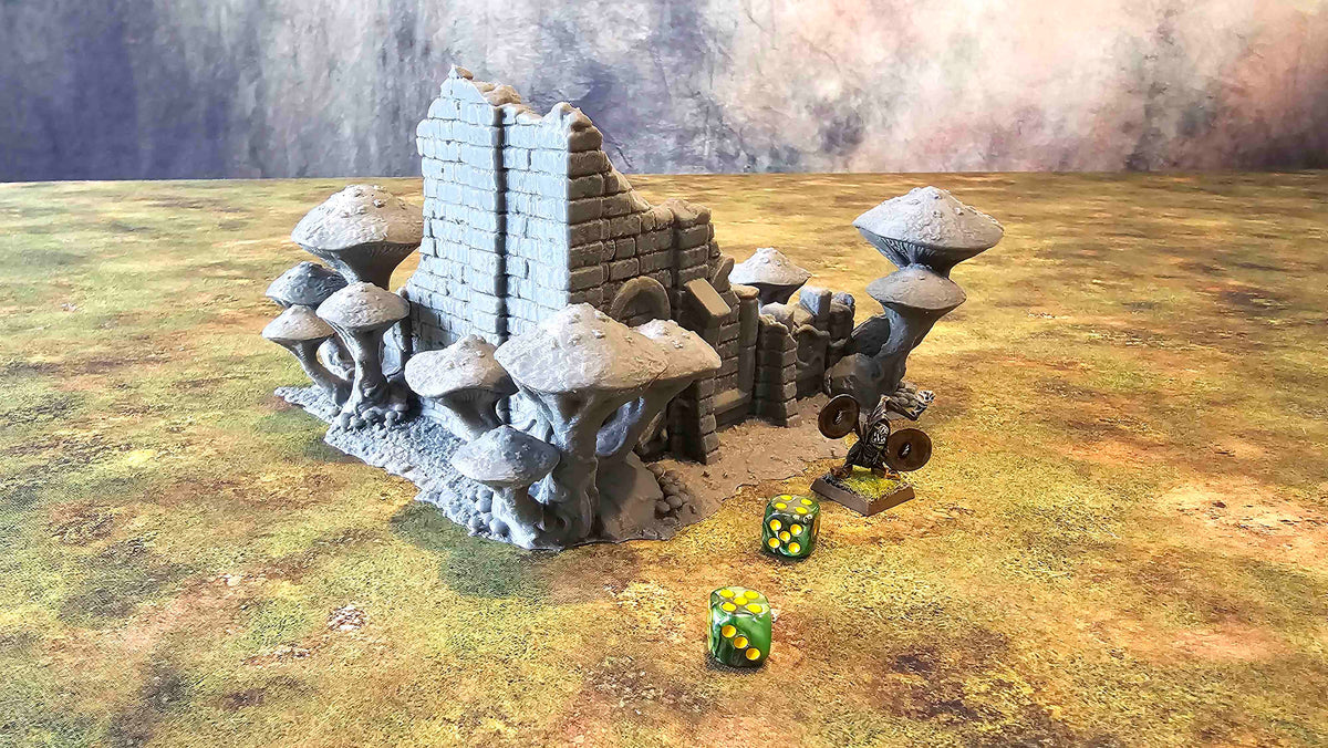 FUNGALWOOD - RUIN 2 image 1