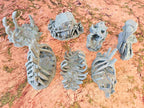 GIGANTIC BONES - FULL SET x7 ELEMENTS image 8