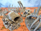 GIGANTIC BONES - FULL SET x7 ELEMENTS image 5