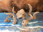 KRAKEN & TENTACLES x8 image 7