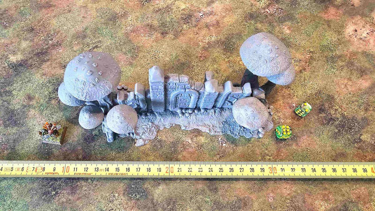 FUNGALWOOD - RUIN 3 image 5