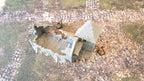 PIGSTY & CHICKEN COOP image 3