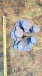FUNGALWOOD - PATH 5 image 2