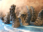 KRAKEN & TENTACLES x8 image 6