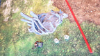 GIGANTIC BONES - BONES 03 image 10