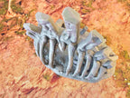 GIGANTIC BONES - BONES 04 image 5