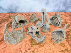 GIGANTIC BONES - FULL SET x7 ELEMENTS image 2