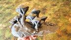 FUNGALWOOD - PATH 1 image 5