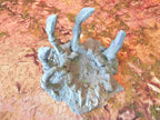 GIGANTIC BONES - BONES 05 image 5