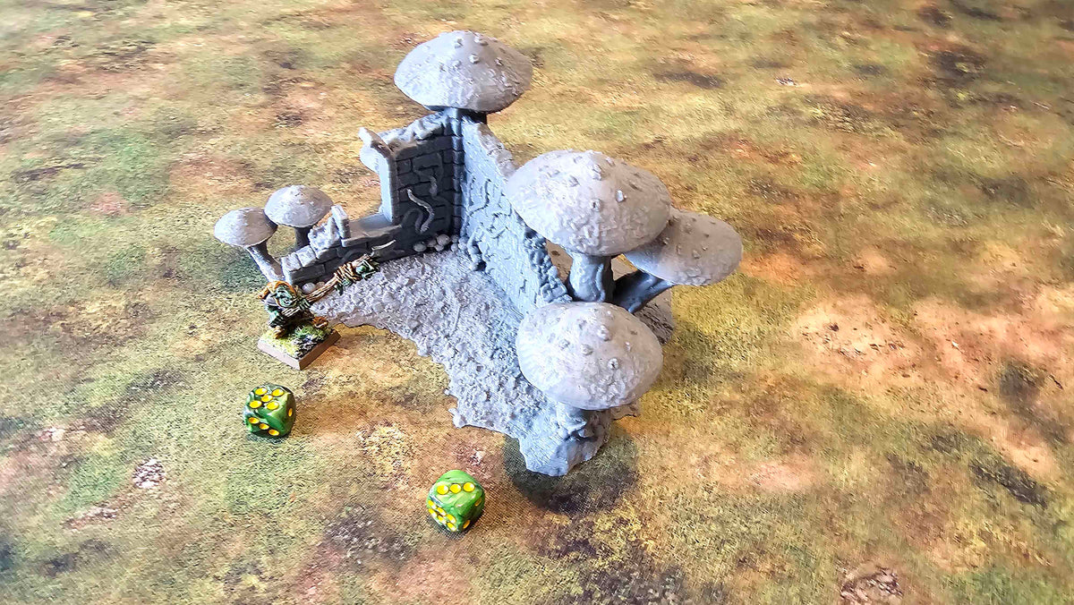 FUNGALWOOD - RUIN 1 image 0