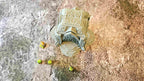 DWARVEN - ALTAR image 9