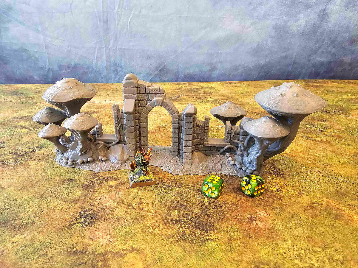 FUNGALWOOD - RUIN 4 image 1